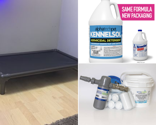 The BEST dog products from a doggie daycare owner… ❤️ cover photo collage