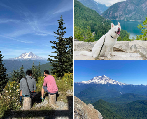 Dog friendly hikes with beautiful views near Seattle cover photo collage