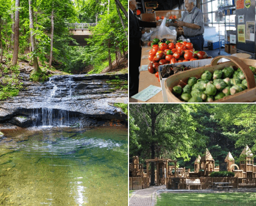 Check out some of this if you make it Niles, OH area 😎✨️ cover photo collage