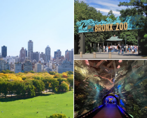 Everyone wants to be a NYC tourist sometimes right? cover photo collage