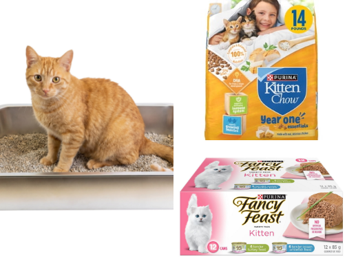 Cat stuff cover photo collage
