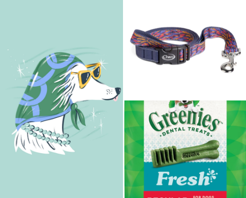 Pampered Pup: Dog Recs! cover photo collage