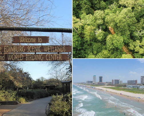 Things to do in the RGV cover photo collage