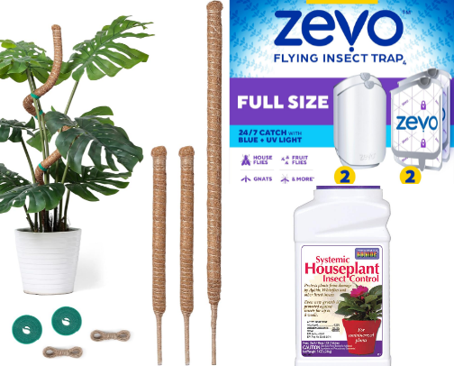 Houseplant Haven cover photo collage