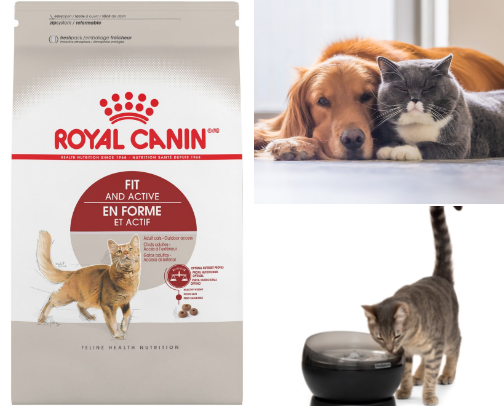 🐱 Cat Essentials for New Owners cover photo collage