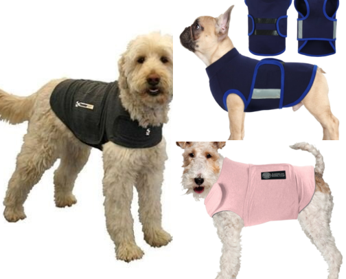 I Finally Fixed My Dog's Car Ride Anxiety With These 11 Finds cover photo collage