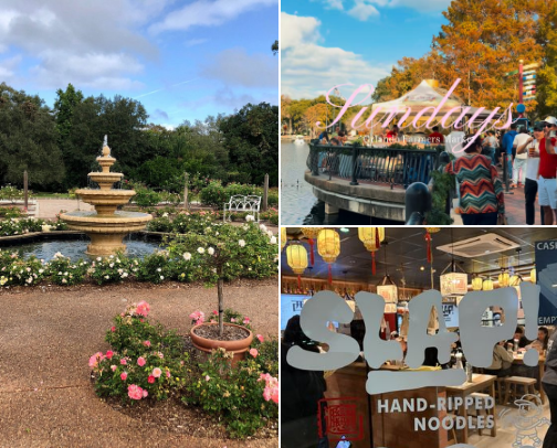 Cute Orlando date ideas ✨ cover photo collage