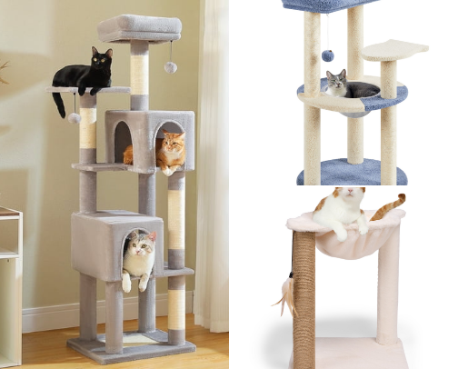 First time cat parent must haves! cover photo collage