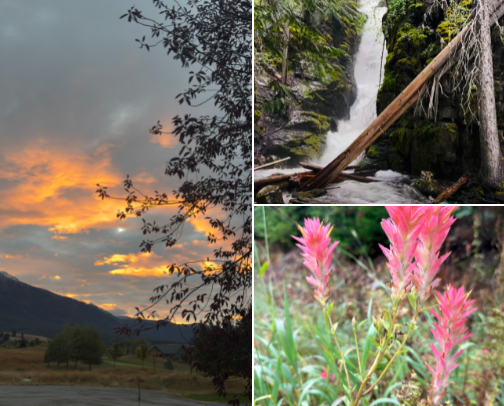 Montana, Through My Eyes cover photo collage
