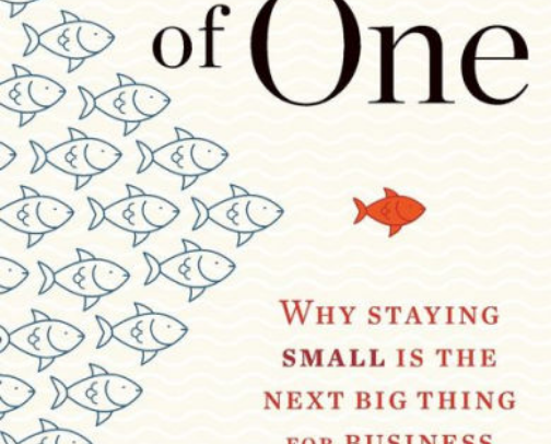 My favorite book recs cover photo collage