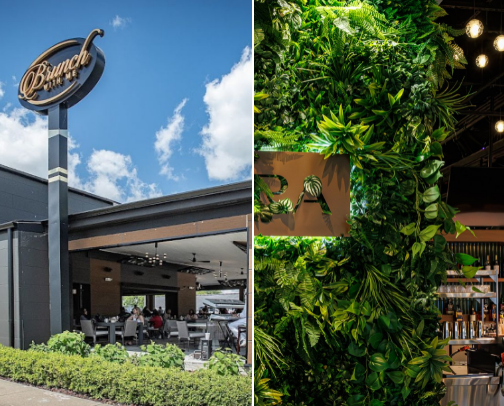 My top Macomb recs cover photo collage