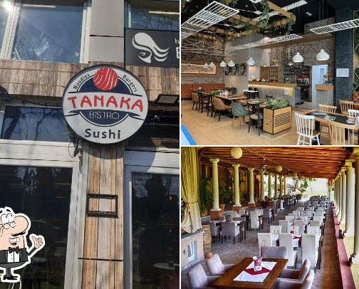 Culinary Gems & Fine Dining Adventures cover photo collage