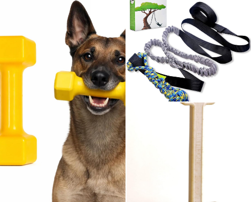 Aggressive Chewer Survival Kit: Toys That Last cover photo collage