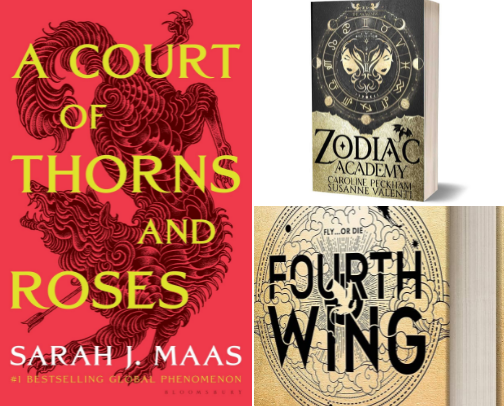 Book Recs 📚 cover photo collage