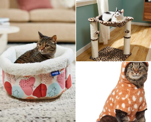 Pet Essentials — My Recommended Favorites cover photo collage