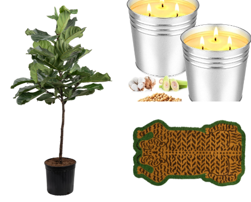 Redecorating 🪴 cover photo collage