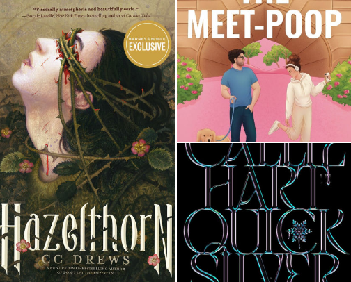 My Current TBR cover photo collage