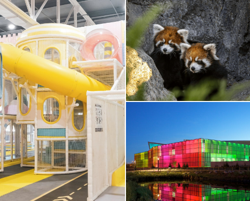Best Children’s Places To Visit cover photo collage
