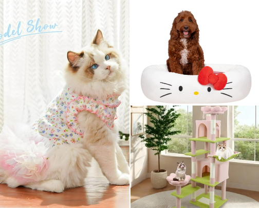 Cat Must-Haves cover photo collage