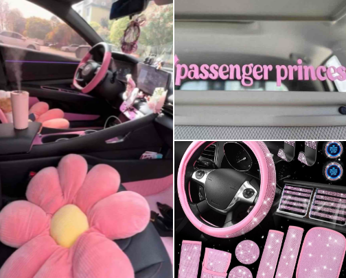 𝙲𝚊𝚛 𝙰𝚌𝚌𝚎𝚜𝚜𝚘𝚛𝚒𝚎𝚜 🩷🌸🌷✨ cover photo collage