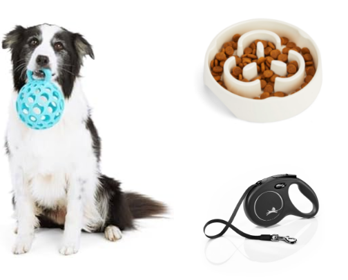 A dog is a best friend cover photo collage