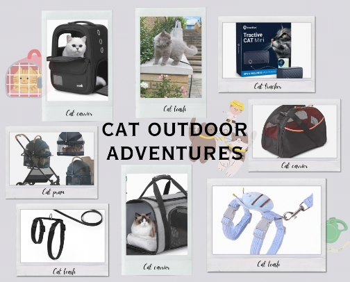 CAT OUTDOOR ADVENTURES cover photo collage