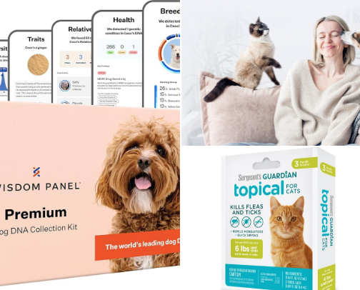 Pet Tech & Health Tools That Actually Do Something cover photo collage