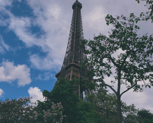 Parisian Restaurants cover photo collage