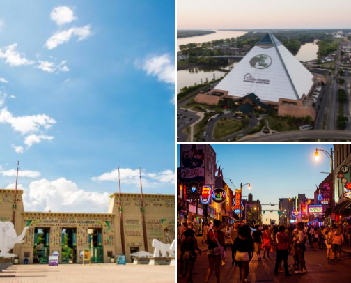 Some REALLY fun and delicious places to visit in Memphis😋😋 cover photo collage