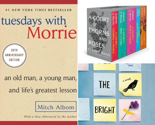 Books I was actually able to finish cover photo collage