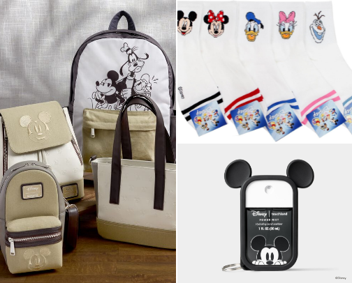 Things to bring at Disney parks cover photo collage