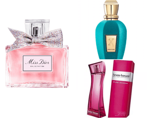 Best fragrances ever 🪵🌸🌿 cover photo collage