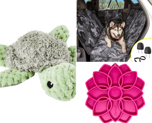 Things for dogs ✨ cover photo collage