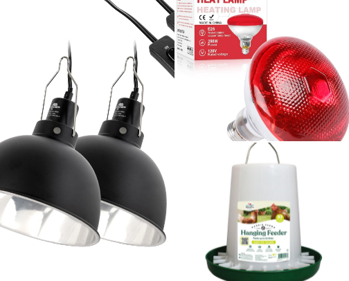 🐣Chick Tenders Must Haves🐣 cover photo collage