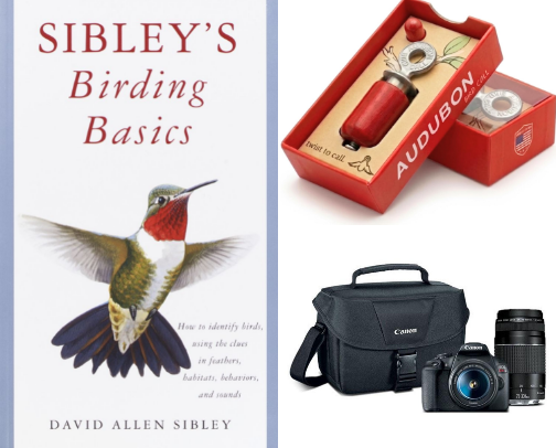Life List birds and what you need on the hunt cover photo collage