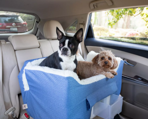 All things for your furry family members! cover photo collage