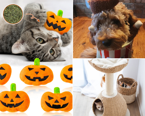 All things for your furry family members! cover photo collage