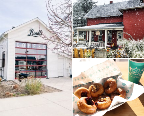 Fort Collins, CO cover photo collage