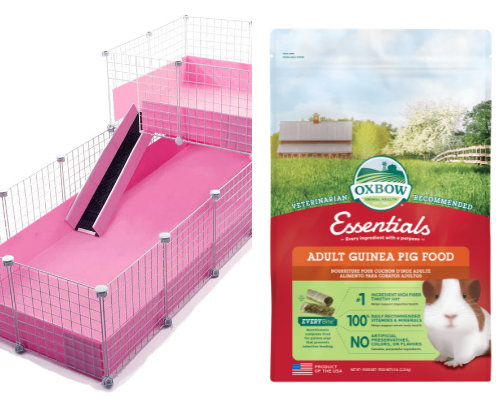 Guinea Pig Essentials cover photo collage