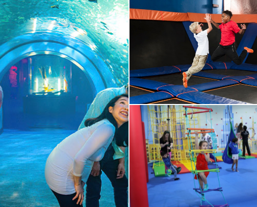 Fun Places for Kids in Northern Kentucky cover photo collage