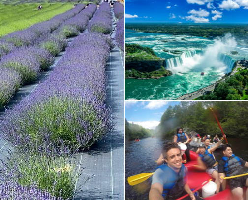 Places I ACTUALLY recommend in NYC as a Native New Yorker 🗽 cover photo collage