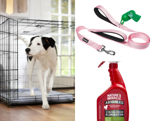 Bringing home a new puppy cover photo collage