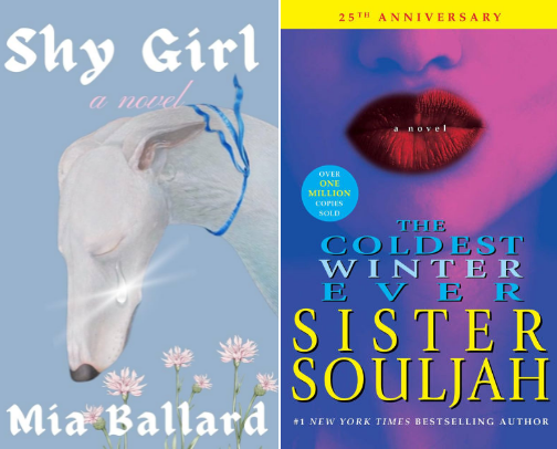 My favorite book recs cover photo collage