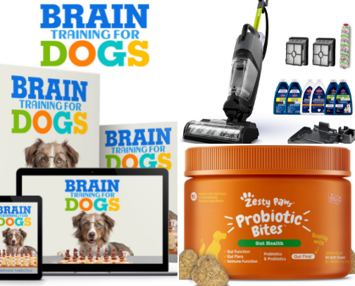 15 Must-Have Dog Products Every Pet Parent Needs in 2026 cover photo collage