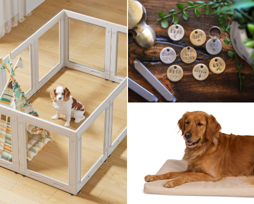 Puppy Must-Haves cover photo collage