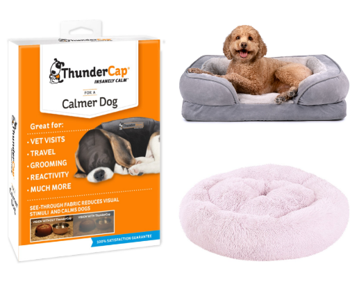 🐾 Dogs I’d Happily Spend Money On cover photo collage