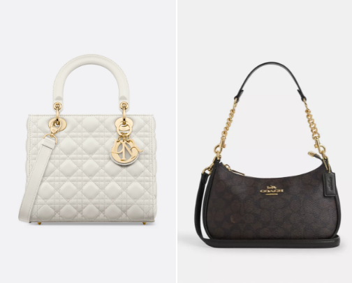 Carry in Style👛 cover photo collage