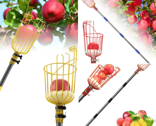 Fruit Pickers cover photo collage
