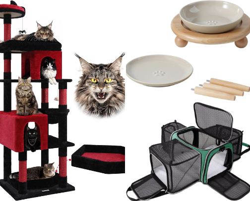 Cat Favorites - Tried & Tested by a Northern Kentucky Pet Sitter cover photo collage
