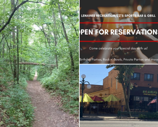 Things to do in Lenawee County, MI cover photo collage